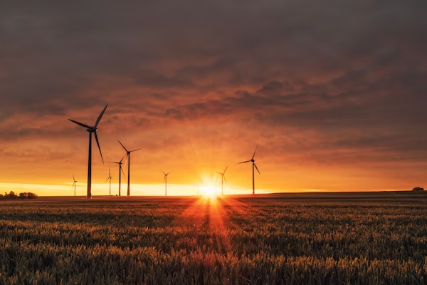 Energy Vulnerability
